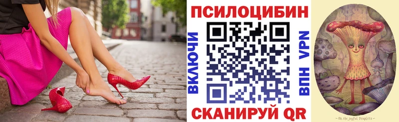 Купить где  Гатчина  Галлюциногенные грибы MAGIC MUSHROOMS 